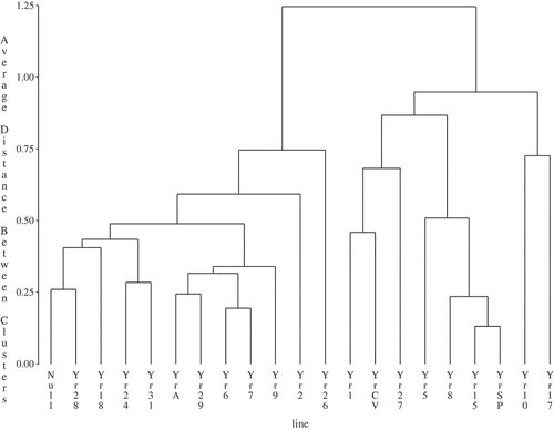 Fig. 2 Cluster of wheat differentials based on stripe rust severity at 8 station-years of data from international and Creston nurseries during 2007, 2008 and 2010.