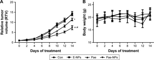 Figure 9 In vivo antitumor efficacy of Pae-NPs.Notes: The mice were intravenously administered with PBS, E-NPs, free Pae, or Pae-NPs every 2 days for three consecutive injections. (A) Growth inhibition study in the A549 xenograft model. (B) Body weight changes for the tumor bearing mice after various formulations were given to mice on the indicated days. Data are represented as mean ± SD (n=6). *p<0.05, **p<0.01, compared to the control group; #p<0.05, compared to the Pae group.Abbreviations: Pae, paeonol; Pae-NPs, Pae-loaded nanoparticles; E-NPs, empty nanoparticles; SD, standard deviation; PBS, phosphate-buffered saline; Con, control.