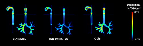 Figure 6. The average images, illustraitng the nicotine retention in the respiratory tract cast at 37 °C and 100% relative humidity (RH), expressed as a fraction of the total administered dose (%TAD). In each pair, the left and right images show sagittal and coronal slices, respectively. The numbers of independent experiments are the following: BLN-5%NIC n = 15, BLN-5%NIC-LA n = 8, and C-cig n = 8.