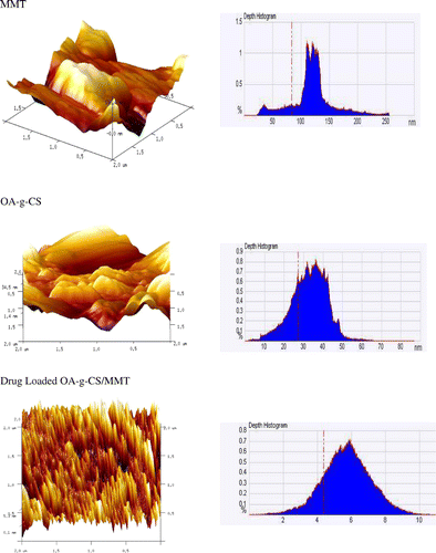 Figure 6. AFM (3-D) images of MMT, OA-g-CS, drug loaded OA-g-CS/MMT composites.