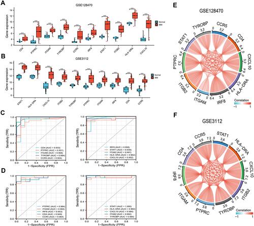 Figure 3 Expression and ROC analysis (A) Expression of 10 hub genes between IBM and normal tissues in GSE128470 and (B) GSE3112. (C) ROC analysis in GSE128470 and (D) GSE3112. (E and F) The hub genes positively correlated with each other in GSE128470 and GSE3112. Red and blue represent high low correlations.