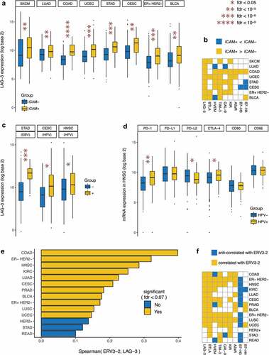 Figure 3. Genomic correlates of LAG-3 expression in selected cancer types.