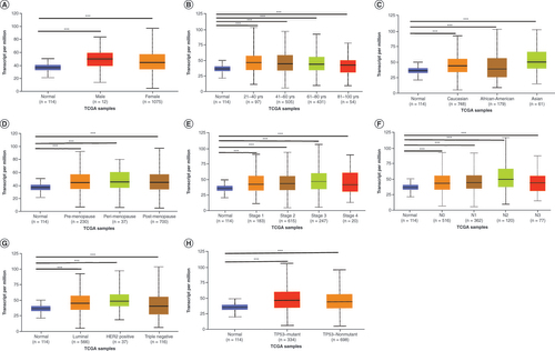 Figure 2. RanBP9 transcription in subgroups of patients with breast cancer stratified based on gender, age and other criteria (UALCAN). (A) Boxplot showing relative expression of RanBP9 in normal individuals of either gender. (B) Boxplot showing relative expression of RanBP9 in normal individuals of any age. (C) Boxplot showing relative expression of RanBP9 in normal individuals of any race. (D) Boxplot showing relative expression of RanBP9 in normal individuals based on menopause status. (E) Boxplot showing relative expression of RanBP9 in normal individuals of any cancer stages. (F) Boxplot showing relative expression of RanBP9 in normal individuals based on nodal metastasis. (G) Boxplot showing relative expression of RanBP9 in normal individuals of any subclass. (H) Boxplot showing relative expression of RanBP9 in normal individuals based on TP53 mutation status. Data are mean ± standard error.*p < 0.05; **p < 0.01; ***p < 0.001.TCGA: The Cancer Genome Atlas.