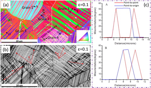 Figure 2. EBSD analysis of Ti-12Mo-10Zr sample at strain ε = 0.1. (a) IPF map. The deformation bands were also symbolled by capital letters ‘A∼I’ with arrows, respectively; (b) Image quality (IQ) maps. The traces of slip bands were also marked with red arrows; and (c) Misorientation profile along the arrows labelled A and B in (a) as typical examples.