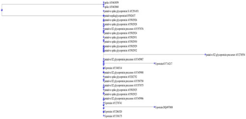 Figure 5. Phylogenetic tree of putative spike glycoproteins.