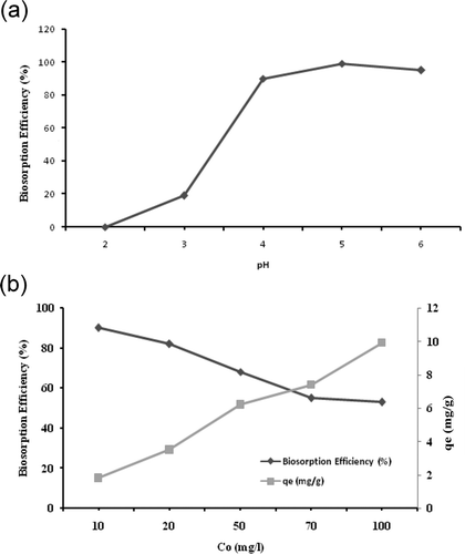 Figure 2. Effect of pH on biosorption efficiency (a) and initial Zn(II) concentration on Zn(II) uptake (qe = mg Zn(II)/g biomass) and biosorption efficiency (b). CO = 10 mg/L, T = 20ºC, m = 5 g/L, stirring speed = 150 rpm, contact time (t) = 60 min.