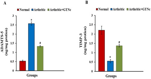 Figure 9. Influence of GTNc on serum levels (A) ADAMTS-5 and (B) TIMP-3. Results are presented as mean values ± SE. *p < 0.05: significant difference compared to the control group, #p < 0.05: significant compared to GTNc-treated arthritic rats.