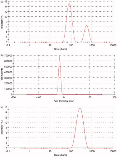 Figure 4. (a) Size distribution of the nanoparticles developed. (b) Zeta potential of the prepared nanoparticles. (c). Size distribution of the CNP.