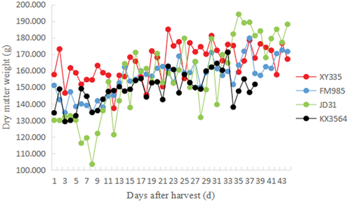 Figure 4. Dry matter weight curves of corn kernels.