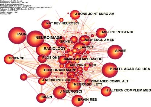 Figure 2 Co-citation map of journals related to fMRI studies on acupuncture analgesia.