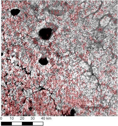 Figure 3. Location of CPs shown in the form of vectors outlining the direction and magnitude of shifts ( and (Equation (2)) found between Landsat-8 image acquired on 2016021 (21-Jan-2016), and Sentinel-2A image acquired on 2015358 (24-Dec-2015) and used as a reference image, over the study area in Argentina, tile T20HNH. Vector lengths were multiplied by 100 for visual clarity. Overall, 1634 CPs were found using the phase-correlation approach in this case. The background is a Landsat-8 TOA NIR (band 5) image with TOA reflectance values scaled from 0.05 to 0.65.