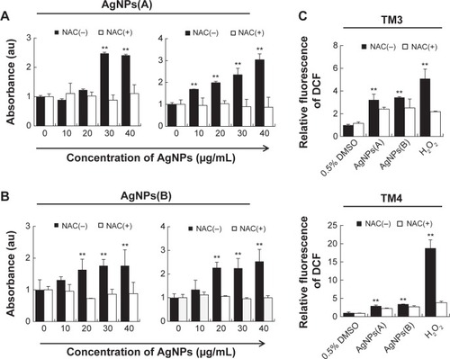 Figure 6 Effect of AgNPs on LDH activity and ROS generation in TM3 and TM4 cells.Notes: TM3 and TM4 cells were treated with two different sizes of AgNPs: 10 nm (A) and 20 nm (B); LDH activity was assessed in the supernatants of cells treated or not with AgNPs and NAC using the LDH cytotoxicity detection kit. The y axis represents the absorbance as percentage of the controls, and the x axis shows IC50 of AgNPs; (C) ROS generation in AgNPs (IC50)-treated TM3 and TM4 cells; DCF formation from H2DCF-DA was measured by fluorescence (excitation at 480 nm, emission at 530 nm). The data are expressed as the mean ± SD of three independent experiments performed in triplicate; **P<0.01.Abbreviations: AgNPs, silver nanoparticles; DCF, 2′,7′-dichlorofluorescein; DMSO, dimethyl sulfoxide; H2DCF-DA, 2,7-dichlorodihydrofluorecein diacetate; H2O2, hydrogen peroxide; IC50, half maximal inhibitory concentration; LDH, lactate dehydrogenase; NAC, N-acetyl L-cysteine; ROS, reactive oxygen species; SD, standard deviation; TM3, Leydig; TM4, Sertoli.