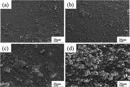 Figure 6. Degradation morphology of the Mg-Zn-Ca amorphous alloy immersed in Hank’s solution for 7 (a), 14 (b), 21 (c), and 28 days (d), respectively.