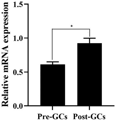Figure 1. The relative mRNA expression level of RLN3 in chicken Pre-GCs and Post-GC measured by RT-qPCR. Each sample was assayed in triplicate using GAPDH as reference and represented as means ± standard error. * p < 0.05.