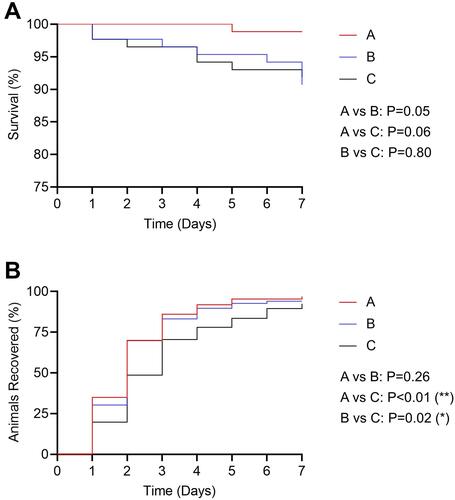 Figure 1 Kaplan–Meier curves of survival (A) or recovery (B) for animals treated with antimicrobials, charcoal, or antimicrobials + charcoal. A=antimicrobials (n=86); C=charcoal (n=86); B=both (n=86). For panel B, animals were censored when they died, as were animals that failed to recover over the 7-day period. Overall P-values were 0.0594 and 0.0063 for panels A and B, respectively (calculated using a Log rank test). The indicated P-values (A vs B, A vs C, and B vs C) were adjusted for multiple comparisons using the Holm-Šídák method and a family-wise significance level of 0.05. *P<0.05; **P<0.01.