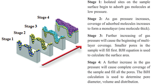 Figure 1. Gas adsorption theory of Baruett–Joyner–Halenda (BJH) analysis for surface pore properties’ test. Quoted from “Micromeritics Instrument Corporation” (www.micromeritics.com/Repository/Files/Gas_Adsorption_Theory_poster.pdf) .