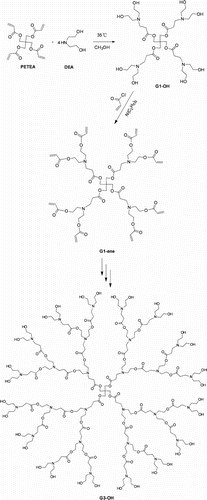 Scheme 1 Syntheses of poly(ester amine) dendrimers of different generations by Michael addition and acrylate esterification reactions.