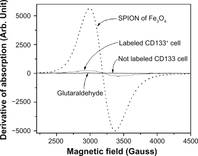 Figure 5 FMR spectra showing the derivative of the absorption of the SPIONs of Fe3O4, labeled cells, not labeled cells, and the 0.5% glutaraldehyde fixator.Abbreviations: FMR, ferromagnetic resonance; SPIONs, superparamagnetic iron oxide nanoparticles.