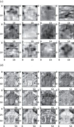 Figure 6b. Continue