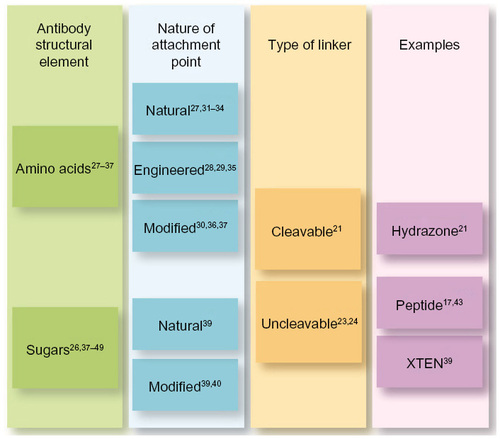 Figure 3 Linkers. Classification of linkers according to the available technologies. Beyond cleavable and uncleavable linkers, site-specific conjugation is the most relevant field of investigation at the moment, with several novel emerging technologies.