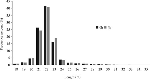 Figure 3. Length distribution of sequencing reads in the six libraries.