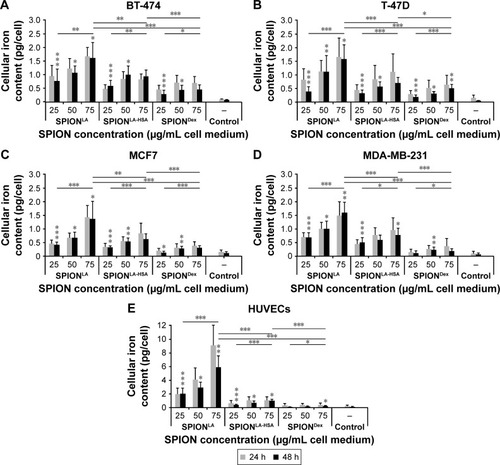 Figure 2 Quantification of the cellular nanoparticle load via MP-AES.Notes: Cells were incubated for 24 and 48 h with 0–75 µgFe/mL SPIONLA, SPIONLA-HSA and SPIONDex, and cell lysates were investigated by MP-AES. The cellular iron content (pg/cell) is shown for (A) BT-474, (B) T-47D, (C) MCF7, (D) MDA-MB-231 and (E) HUVECs. Negative controls are samples with corresponding amount of H2O instead of water-based ferrofluid. The data are expressed as the mean ± standard deviation (n=4 with technical triplicates). Statistical significance of 48 h data sets are indicated with *P<0.05, **P<0.001 and ***P<0.0001 and were calculated via Student’s t-test analysis. Asterisks shown directly on bars indicate dose-dependent significance to the next lower SPION concentration. Asterisks over the lines indicate dose-dependent significance between lowest and highest SPION concentrations and between the highest SPION concentrations of different SPIONs.Abbreviations: MP-AES, microwave plasma-atomic emission spectroscopy; SPION, superparamagnetic iron oxide nanoparticles; SPIONLA, lauric acid-coated SPIONs; SPIONLA-HSA, lauric acid- and human serum albumin-coated SPIONs; SPIONDex, dextran-coated SPIONs; HUVECs, human umbilical vein endothelial cells.