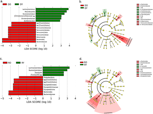 Figure 5. LDA effect size analysis for in donor and recipient mice.