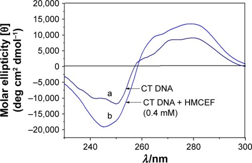 Figure 5 CD spectra of CT DNA in the absence (curve a) and presence of HMCEF (curve b) at (HMCEF)/(CT DNA) value of 2.0.