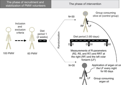 Figure 1 Overall protocol of the study.