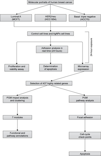 Figure 1 The flow chart of the whole analysis in this study.Abbreviation: PGM, probabilistic graphical model.