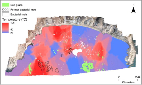 Figure 6. Temperature contour image of Paleochori Bay. The contours were created using the Contour tool in ArcGIS after the temperature data was interpolated across Paleochori Bay.