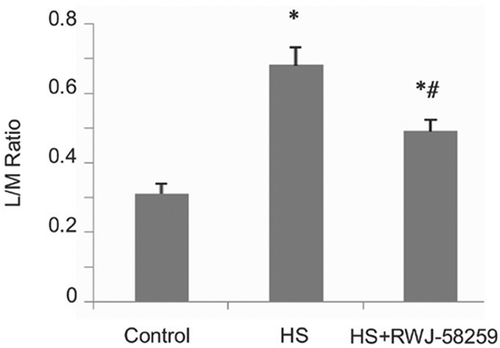 Figure 13. Effects of heat stress and protease-activated receptor 1 (PAR1) inhibitor RWJ58,259 on mouse intestinal permeability as assessed with the urinary lactulose-to-rhamnose (L/R) ratio. The heat stressed (HS) and HS + RWJ58,259 mice had core temperatures of 41°C and recovered at room temperature for 24 h. In the HS + RWJ-58259 group, mice were injected with RWJ-58259 (10 mg/kg) via a tail vein 30 min before heat stress. In the Control group, the mice were injected with a vehicle solution and left at room temperature for the same amount of time. Data are mean ± SD. *P < 0.05 vs Control, #P < 0.05 vs HS, n = 6–8. Reprinted with permission from [Citation41]