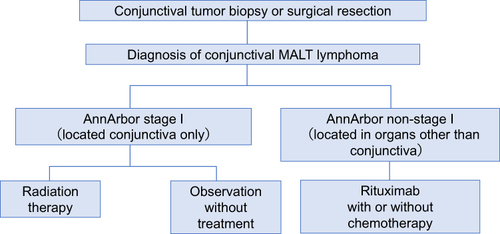 Figure 1 Treatment of conjunctival MALT lymphoma at Kurume University Hospital, in accordance with Japanese Society of Hematology guidelines.
