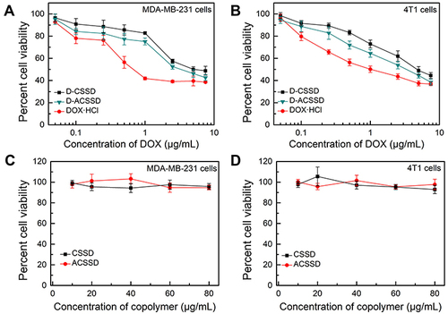 Figure 5 In vitro cytotoxicity of D-CSSD, D-ACSSD, DOX·HCl, blank CSSD and ACSSD micelles in (A and C) MDA-MB-231 and (B and D) 4T1 cells for 24 h.