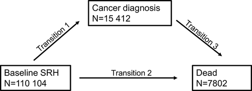 Figure 2 Multistate design illustrating three transitions that were investigated using flexible parametric survival models. We calculated hazard ratios for the association between baseline self-reported health (SRH) and incident cancer diagnosis (transition 1), baseline SRH and death in the subgroup of women who did not receive a cancer diagnosis (transition 2), and baseline SRH and death in the subgroup of women who received a cancer diagnosis during follow-up (transition 3).