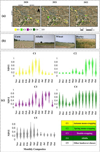 Figure 2. (a) Distribution of the collected ground truth (GT) samples in three cropping years (CYs) of 2020, 2021, and 2022, (b) some images captured during the extensive field visits in the study site, and (c) the normalized difference vegetation index (NDVI) distribution of various target classes derived from Sentinel-2 (S2) monthly mean composites in 2021 CY using 2021 GT samples. In the figure, ‘C’ stands for land cover class.