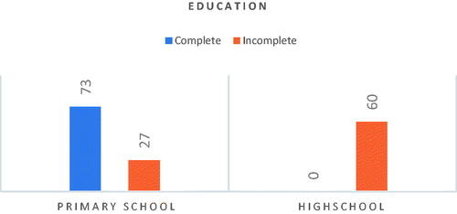 Figure 2. Education attainment.