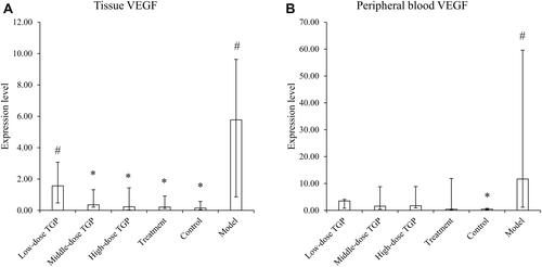 Figure 6 The mRNA expression level of skin tissue VEGF (A) and peripheral blood VEGF (B) among different groups. The bar chart statistics were median and IQR (interquartile range). (n=10 for each group) *p<0.05 compared with the model group; #p<0.05 compared with the Control group.