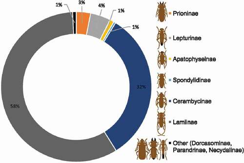 Figure 2. The percentage contribution of subfamilies of Cerambycidae s.s. to the total species diversity of this group