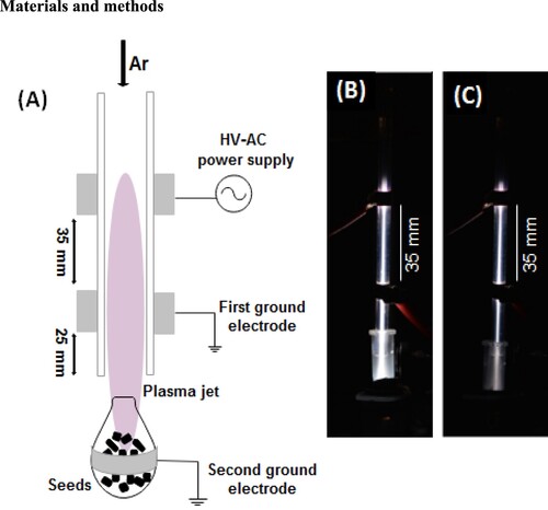 Figure 1. (A) A schematic diagram of the used argon NAPPJ experimental setup, (B) picture of the plasma jet with the SGE and (C) picture of the plasma jet without the SGE.