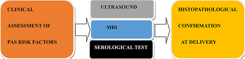 Figure 2 Placenta accreta spectrum diagnosis diagram.