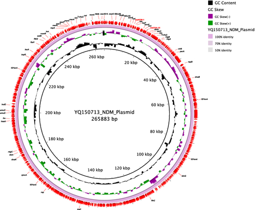 Figure 2 Circular map of the pYQ150713-NDM-1 plasmid. The outer circle showed the genes of pYQ150713-NDM-1. The two inner circles were GC content and GC skew of pYQ150713-NDM-1. The plasmid was visualized by BLAST ring image generator (BRIG) software.