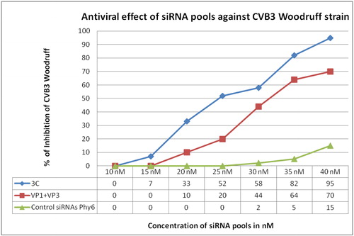 Figure 5. Antiviral effect of siRNA pools against Coxsackievirus B3.