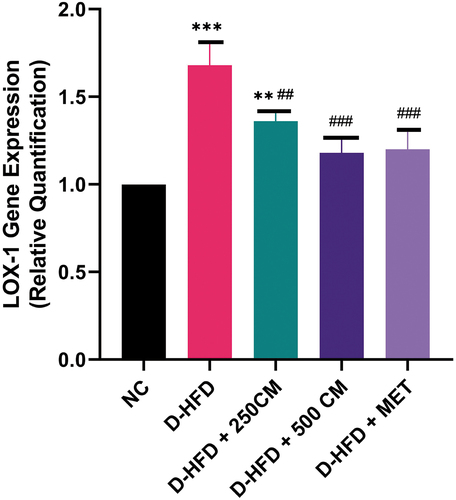 Figure 3. Bar charts of oxidized low-density receptor 1 (LOX-1) mRNA gene expression *P < 0.033; ** P < 0.002; *** P < 0.0001 indicates a significant difference when compared to Normal control; #P < 0.03; ## P < 0.002; ### P < 0.0001, indicates a significant difference when compared to D-HFD Control group. n = 5, NC = non-diabetic, D-HFD = diabetic control, CM = camel milk, MET = metformin.