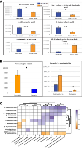 Figure 4 (A) Faecal BAs and error bars with significantly higher relative concentration (ppm) in Caucasians compared with Asians *p<0.05, **p<0.01, *** p<0.001. (B) Concentration of primary conjugated faecal bile acids and conjugated and unconjugated faecal bile acids with standard error of the mean. *p<0.05. (C) Microbiota- Bile acids Spearman's rank correlations in South Asians. The colour palette gradient symbolises positive (purple) to negative associations (brown).