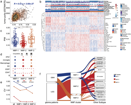 Figure 2. Intertumoral DNA methylation heterogeneity characterizing NMF subtypes. (a). The correlation between DNA methylation heterogeneity and tumor purity (Spearman’s rank correlation coefficient). (b). Using non-negative matrix factorization, GBM and LGG samples from TCGA were classified as three tumor immune microenvironmental subtypes (NMF subtypes). (c). The DNA methylation heterogeneity differed between NMF subtypes (Wilcoxon signed-rank test, P-values*** < 0.001, P-values** < 0.01, P-values* < 0.05). (d). The bubble plot demonstrates the CV values of the cellular enrichment ssGSEA score across NMF subtypes. (e). The line chart shows the CV values in DNA methylation heterogeneity, DNA methylation level, and cellular enrichment score in all glioma patients before clustering and in patients within the same NMF subtypes. (f). 90.18% of NMF-2 samples were enriched in isocitrate dehydrogenase (IDH) mutant status and 89.47% of NMF-2 samples were enriched in O-6-methylguanine-DNA methyltransferase (MGMT) promoter methylation status (hypergeometric test-P < 0.001).