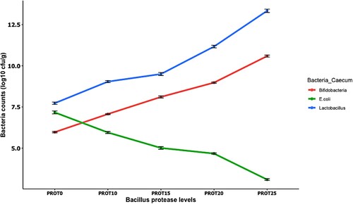 Figure 4. The effect of dietary Bacillus protease on Lactobacillus, Bifidobacteria, and E. coli counts (log10 cfu/g) in the caecum section of the intestine. Two birds from each cell/replicate were used for the analysis.