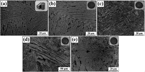 Figure 6. Microstructure of AlFeCoNiMo0.2 HEA at the temperature of 1000°C (a) microstructure illustrations; (b) 1 s−1; (c) 0.1 s−1; (d) 0.01 s−1; (e) 0.001 s−1.