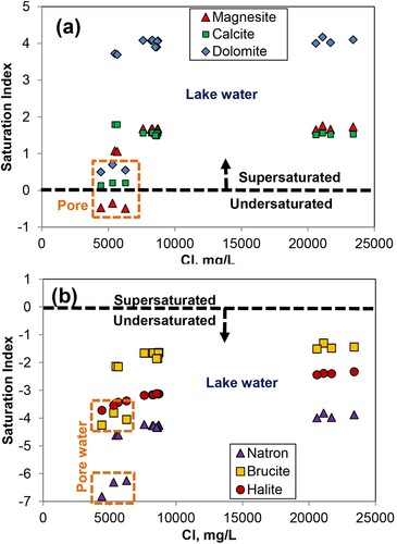 Figure 10. Model saturation indices (log Q/K) for selected minerals in Sutton Salt Lake waters (Craw and Beckett Citation2004), calculated using Geochemists Workbench® at 25°C (e.g. Table 2). A, Supersaturated minerals. B, Undersaturated minerals.