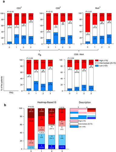 Figure 3. Classification of the patients according to the effectiveness of treatment. (a)The frequency of patients with CD3+ (Left-Upper), CD8+ (Middle –Upper) and MxA+ (Right-Upper), low (Blue), intermediate (White), and high (Red) according to tumor regression and the frequency of ISB (Left-Lower) and ISMxA+CD8+ (Right-Lower) low, intermediate, and high according to tumor regression. (b) The frequency of patients with either CD8+ or MxA+ high, intermediate and low according to the tumor regression. TRG: Tumor Regression Grade. Unilateral linear-by-linear association test; p <0.05 considered significant; n=130.